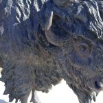 Buffalo Connector